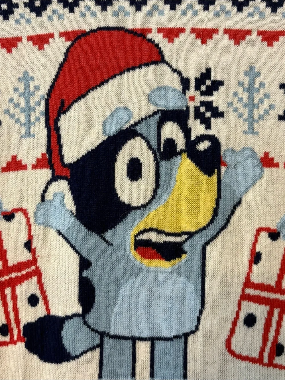 Bluey hooray holiday christmas holiday sweater kids size xl